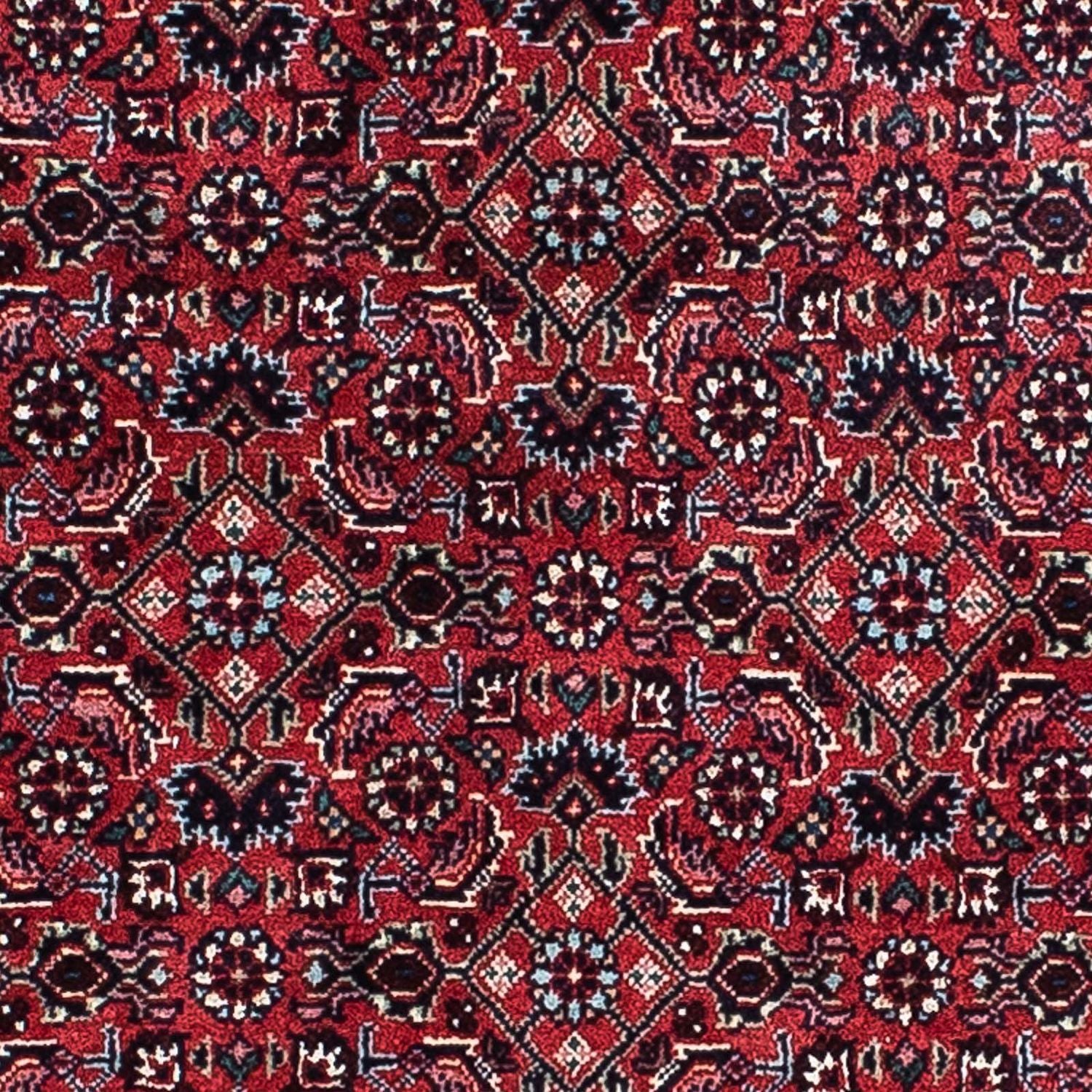 Perserteppich - Bidjar 207 x 132 cm