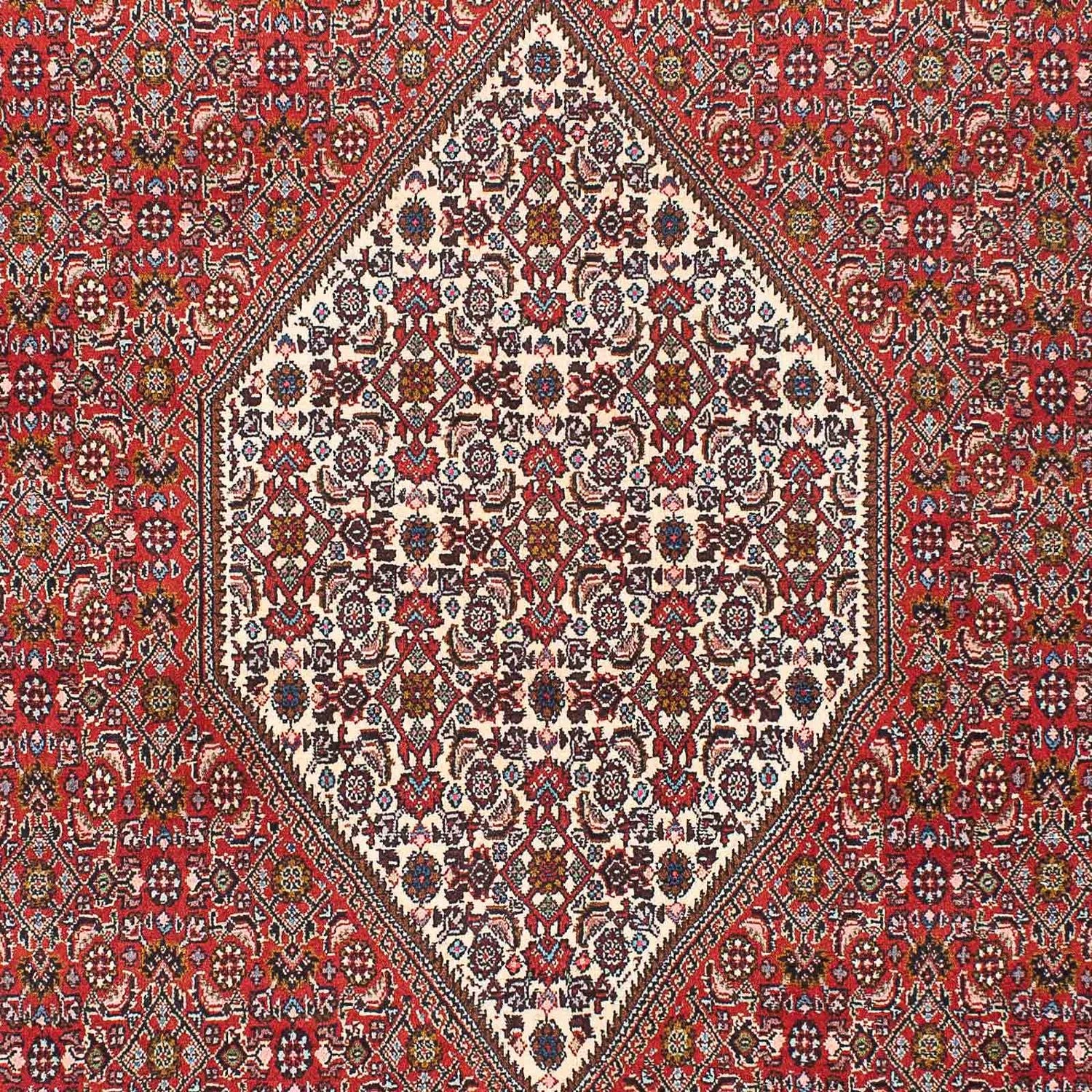 Perserteppich - Bidjar 225 x 136 cm