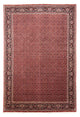 Bidjar Teppich 245x350cm - Perserteppich