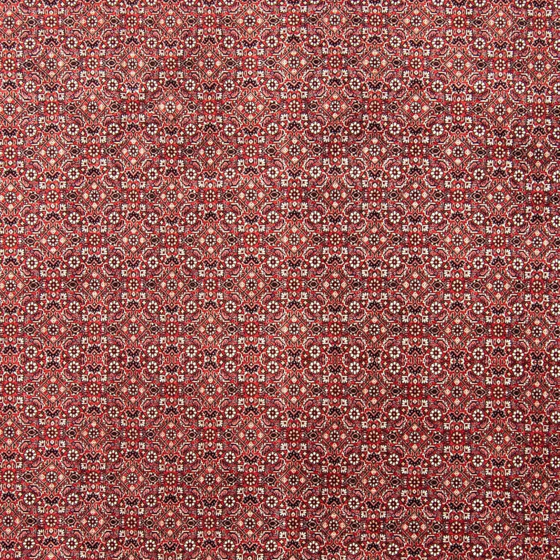 Perserteppich - Bidjar 350 x 245 cm