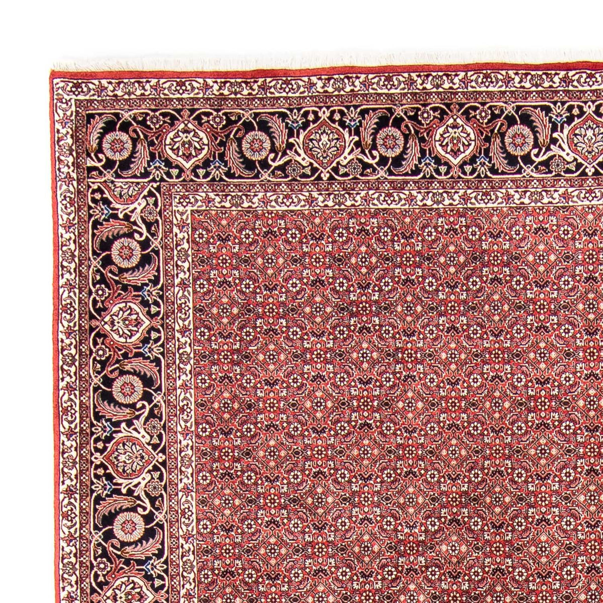 Bidjar Teppich 245x350cm - Perserteppich