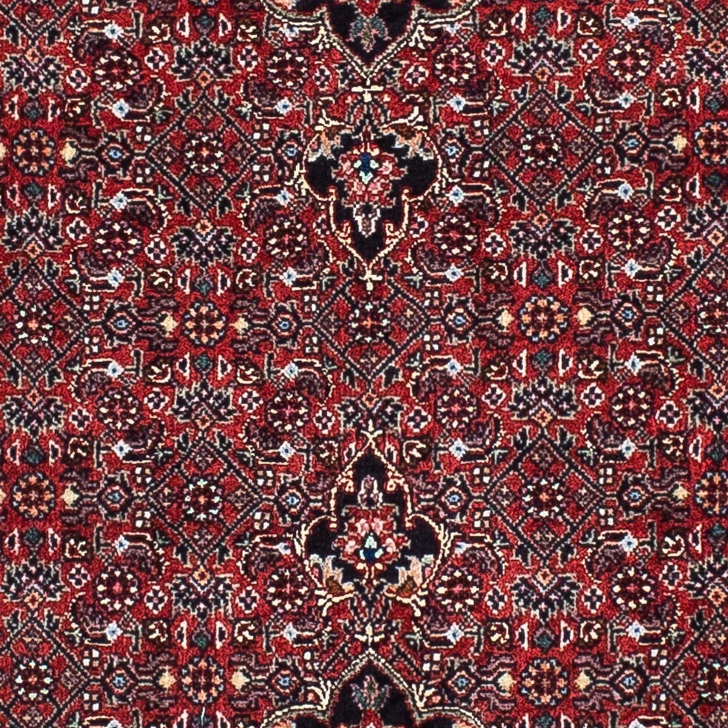 Perserteppich - Bidjar - Royal 203 x 100 cm Teppichläufer