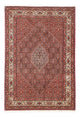 Bidjar Teppich 246x171cm - Perserteppich