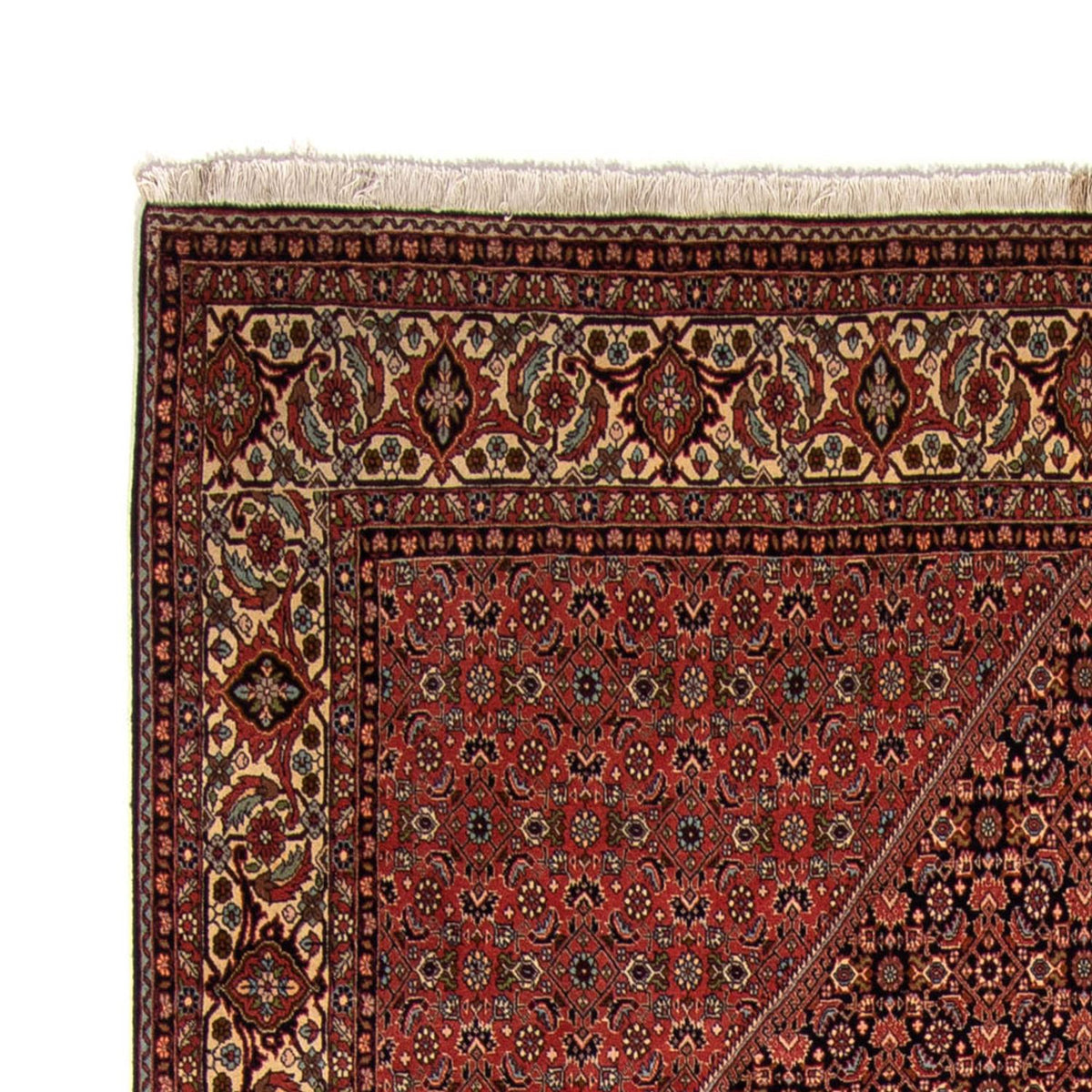 Bidjar Teppich 249x350cm - Perserteppich