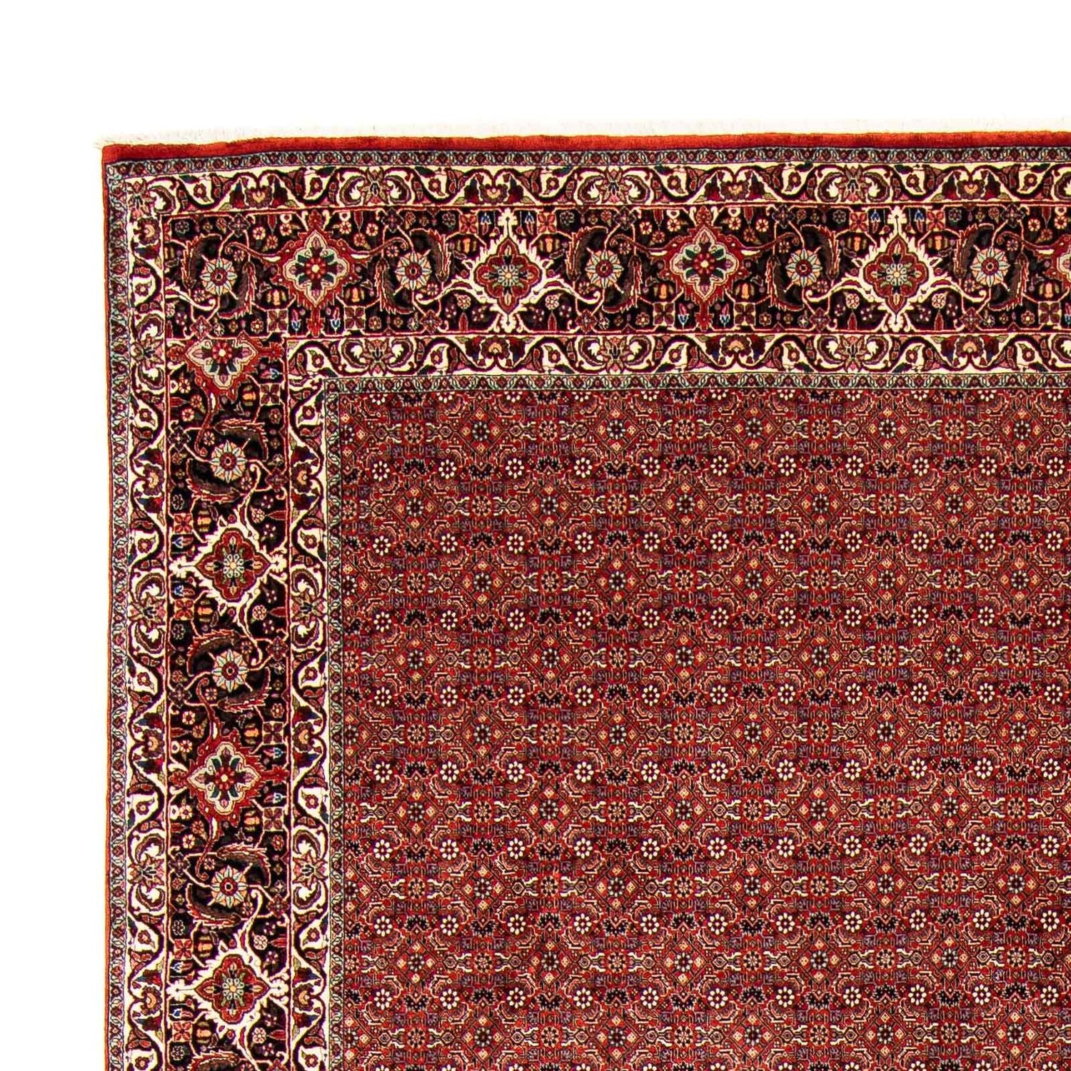 Perserteppich - Bidjar 403 x 298 cm