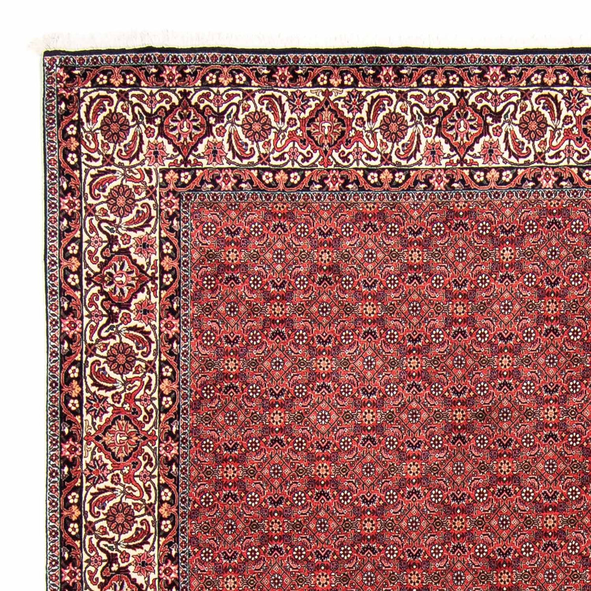 Bidjar Teppich 250x296cm - Perserteppich