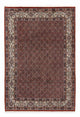 Moud Teppich 288x200cm - Perserteppich
