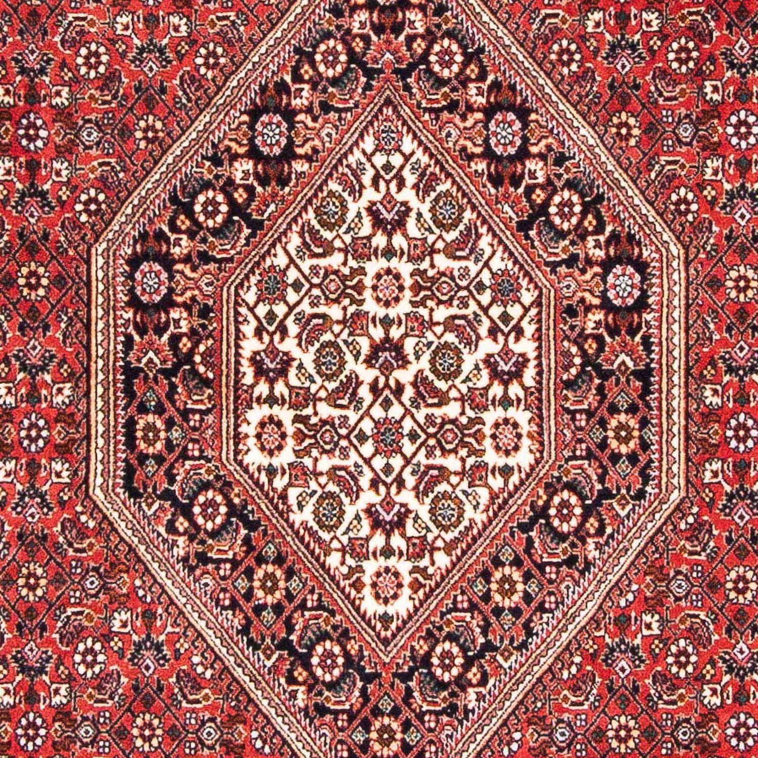 Perserteppich - Bidjar - Royal 181 x 110 cm