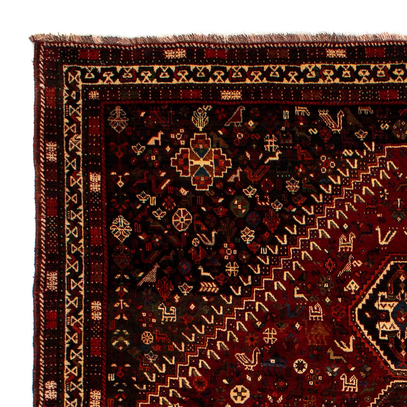 Shiraz Teppich 310x228cm - Perserteppich