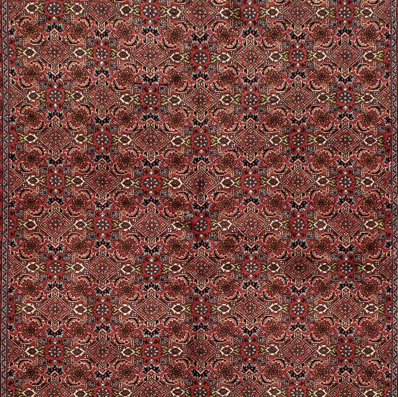 Perserteppich - Bidjar 246 x 170 cm - dunkelrot