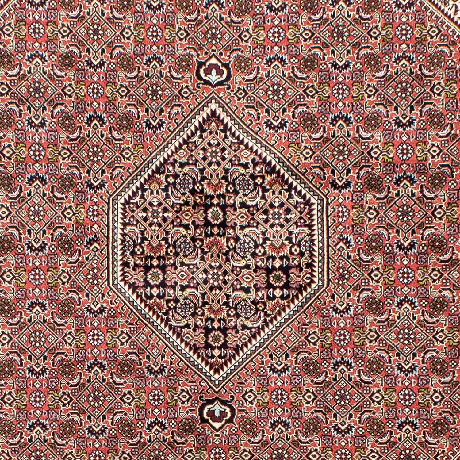 Perserteppich - Bidjar 250 x 168 cm