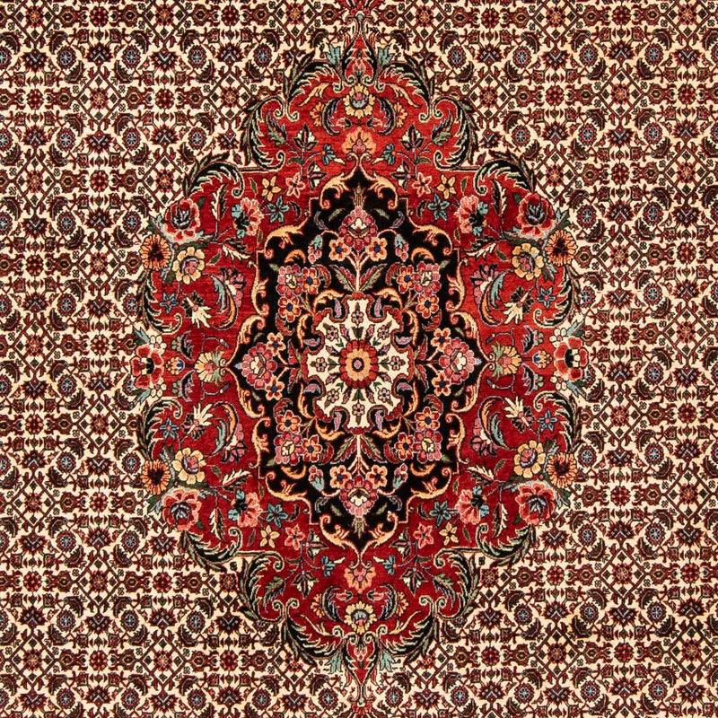 Perserteppich - Bidjar 258 x 200 cm