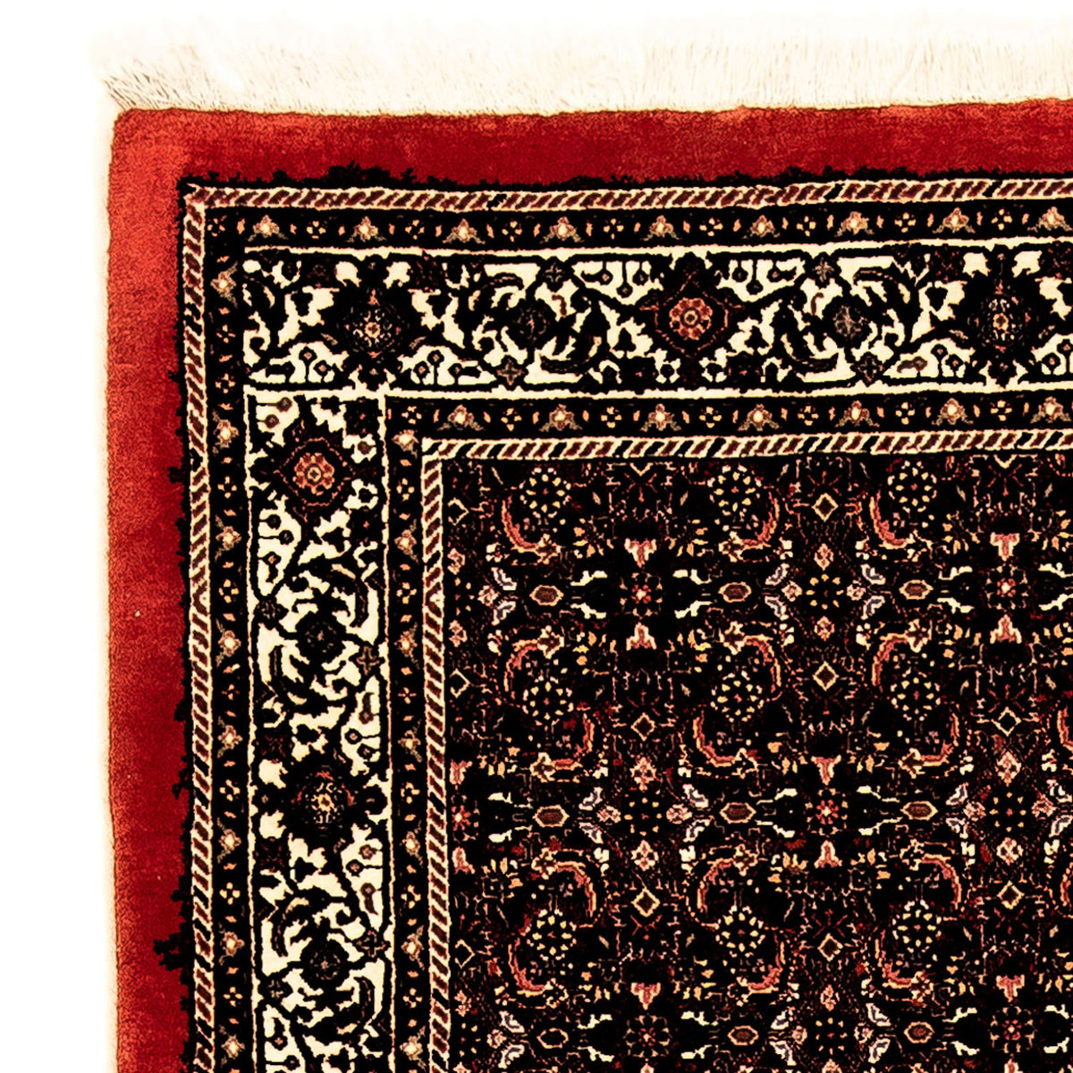 Bidjar Teppich 100x293cm - Perserteppich