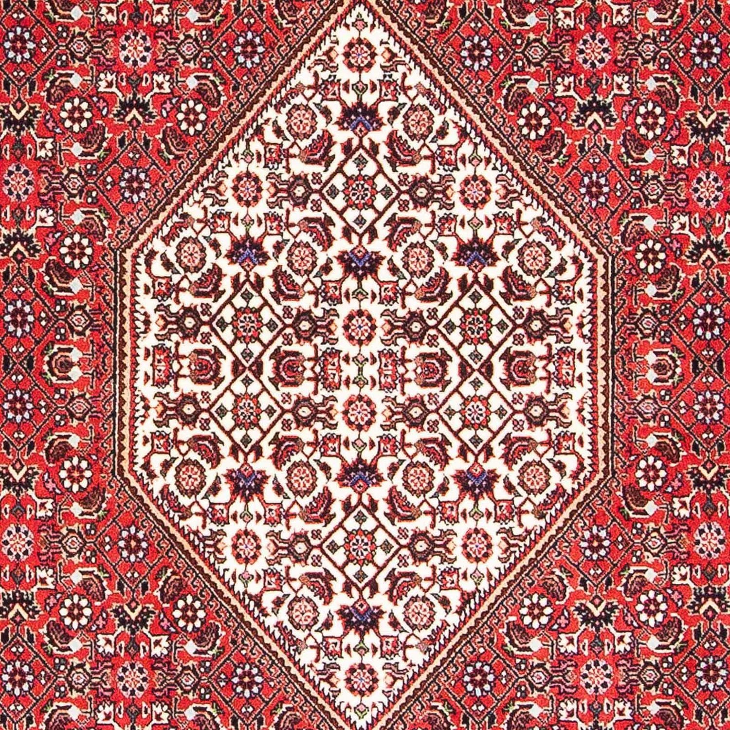 Perserteppich - Bidjar - Royal 175 x 108 cm - rot