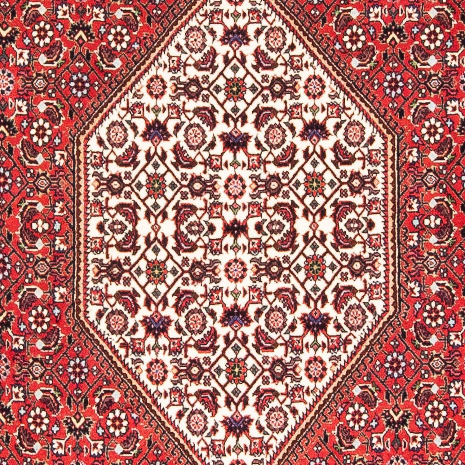 Perserteppich - Bidjar - Royal 175 x 110 cm - rot