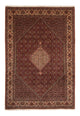 Bidjar Teppich 356x243cm - Perserteppich
