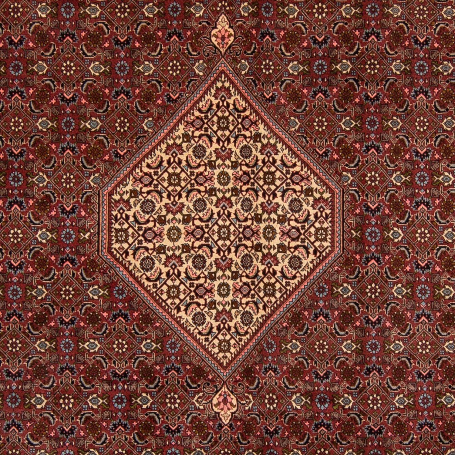 Perserteppich - Bidjar 356 x 243 cm
