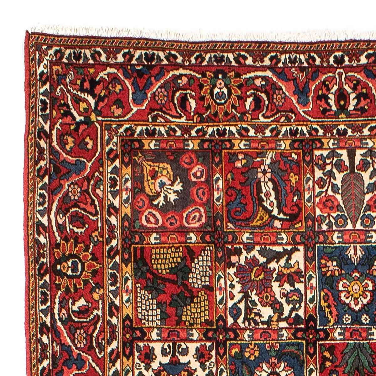 Bachtiar Teppich 161x246cm - Perserteppich