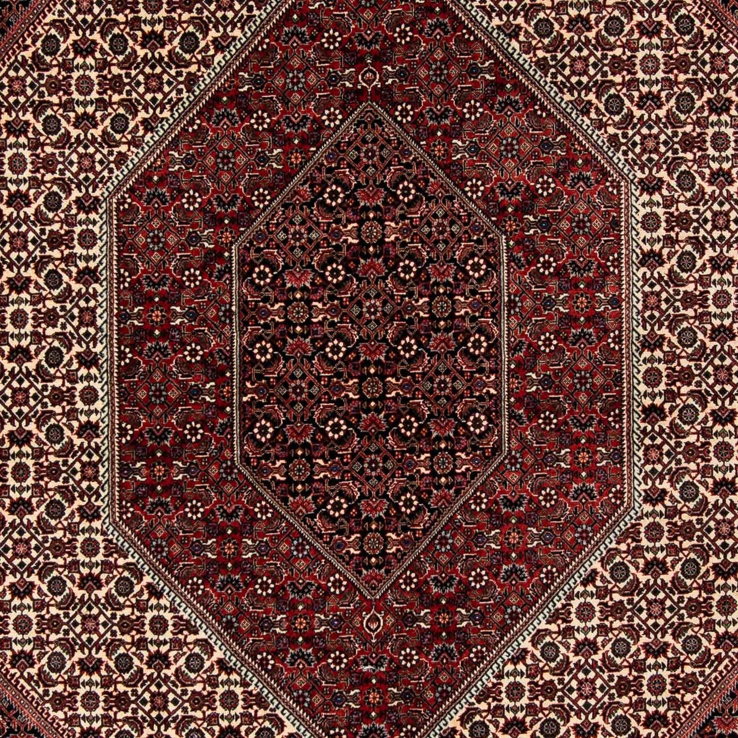 Perserteppich - Bidjar 267 x 201 cm