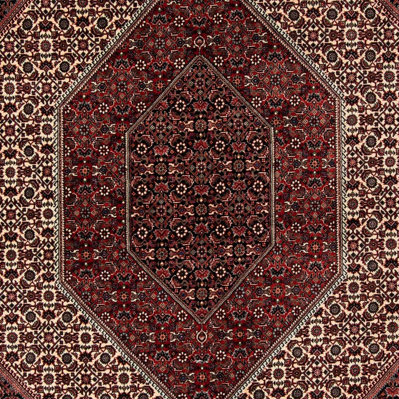Perserteppich - Bidjar 267 x 201 cm