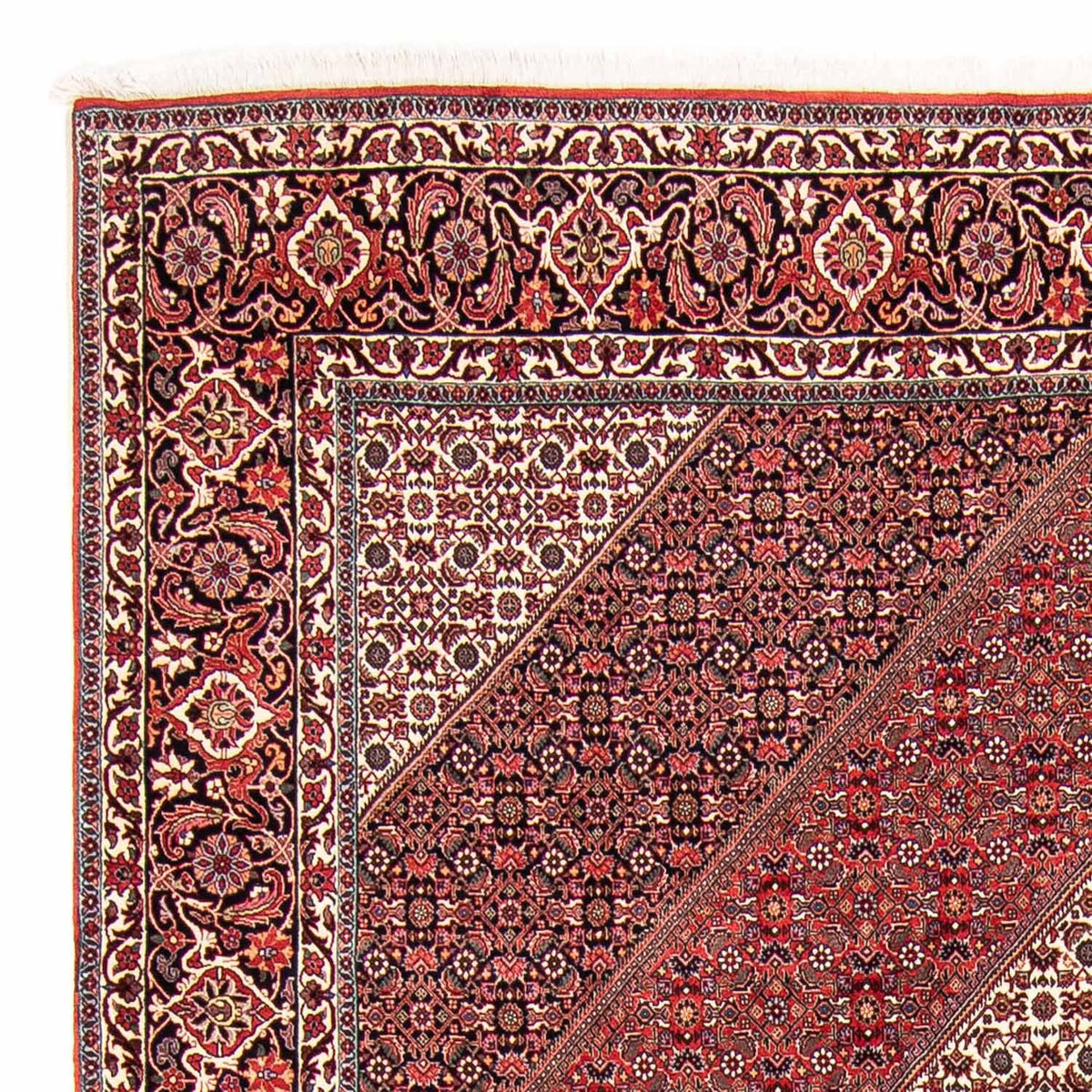 Bidjar Teppich 250x297cm - Perserteppich