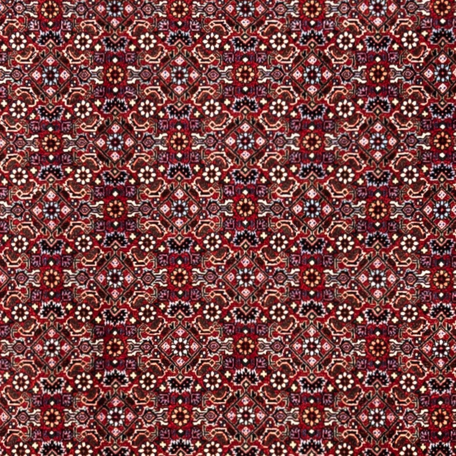 Perserteppich - Bidjar - Royal 340 x 252 cm - rot