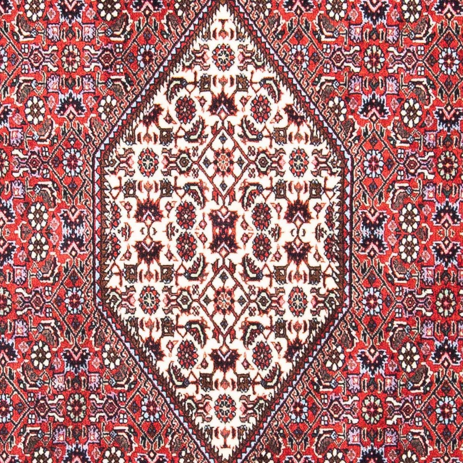 Perserteppich - Bidjar - Royal 169 x 106 cm