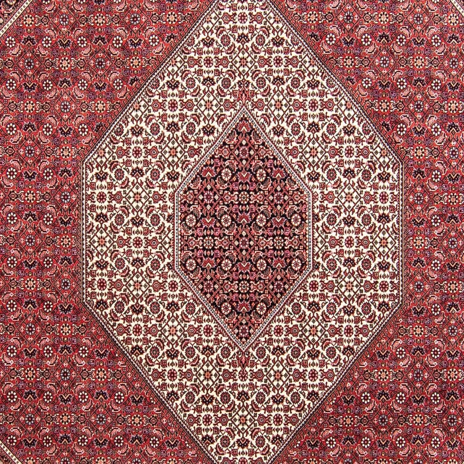 Perserteppich - Bidjar 295 x 253 cm