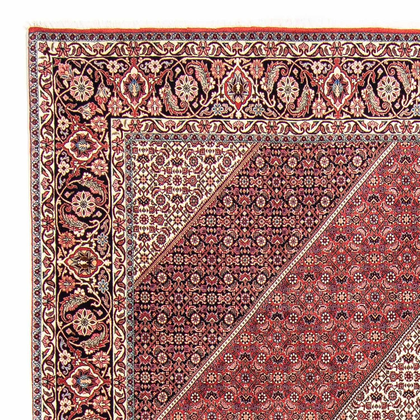 Bidjar Teppich 295x253cm - Perserteppich