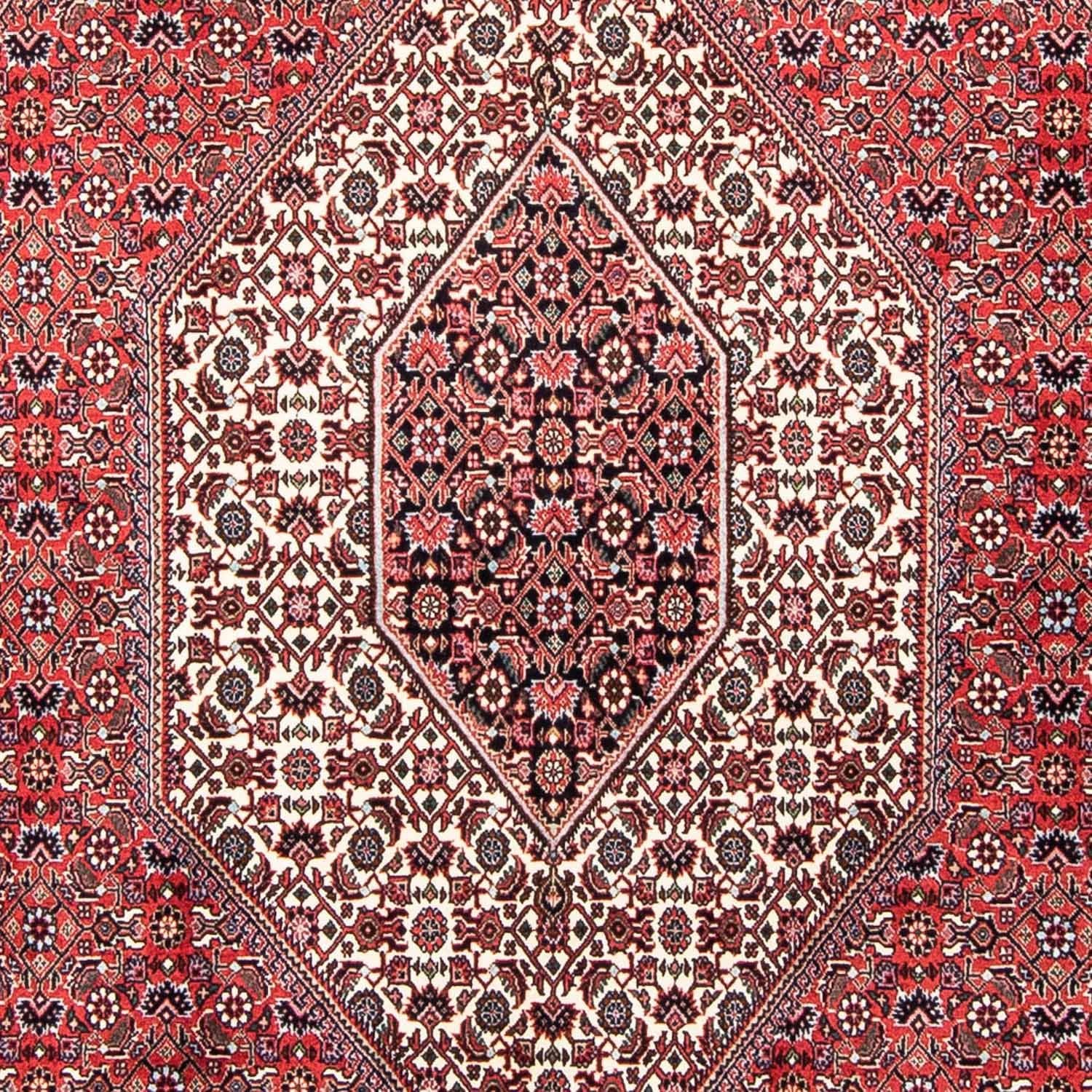 Perserteppich - Bidjar 250 x 168 cm