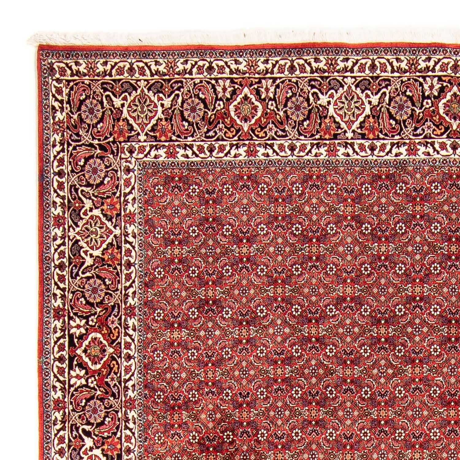 Perserteppich - Bidjar 290 x 250 cm