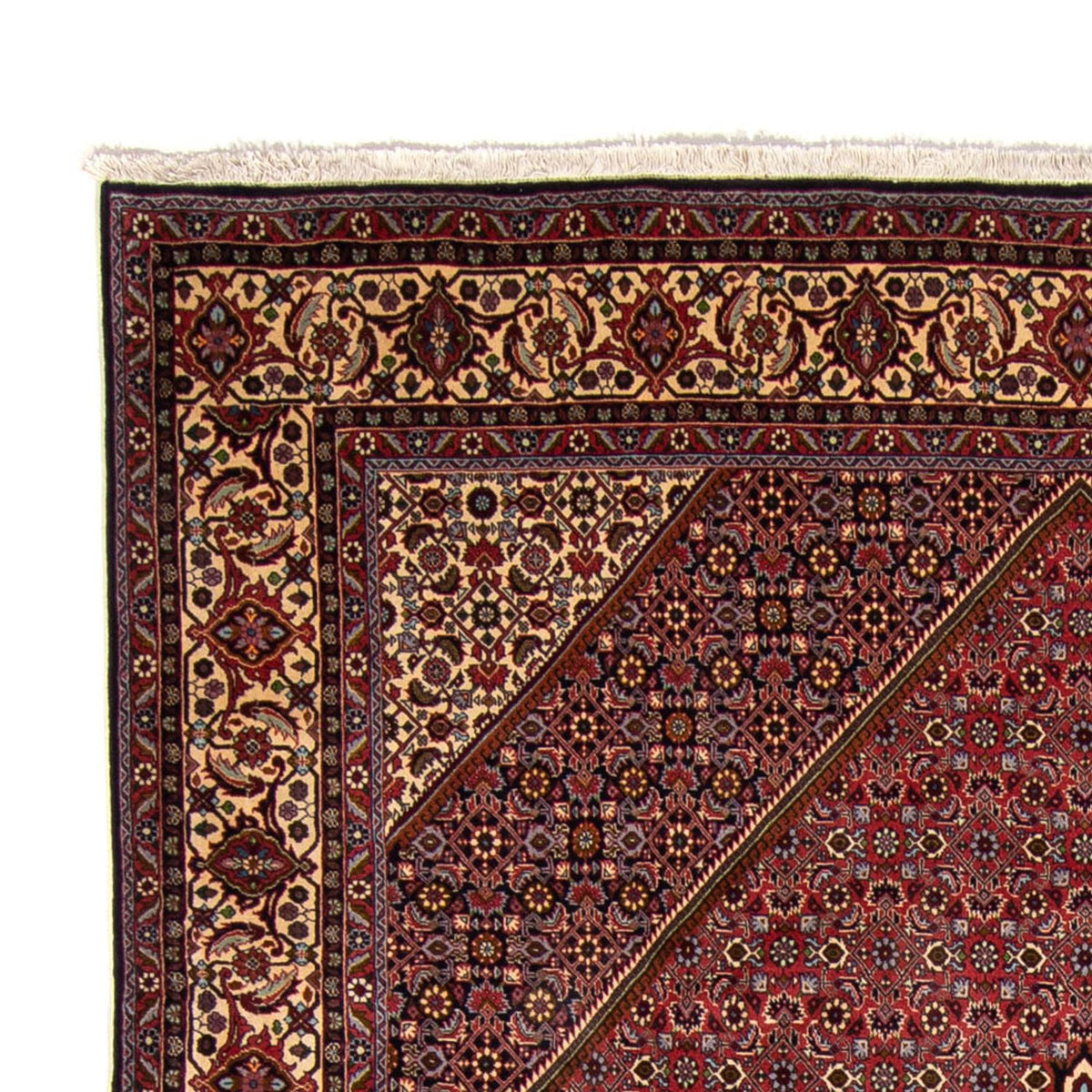 Bidjar Teppich 250x338cm - Perserteppich
