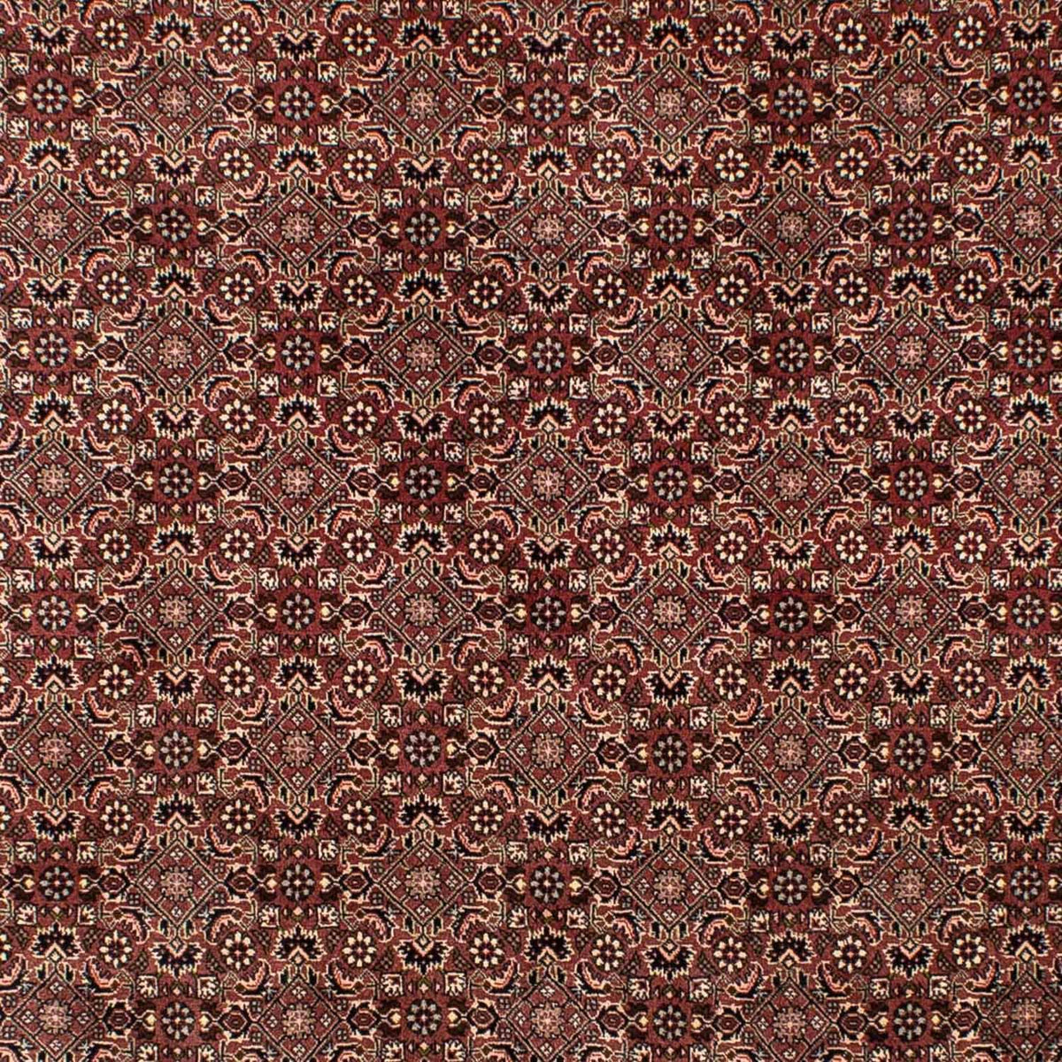 Perserteppich - Nomadic 307 x 192 cm