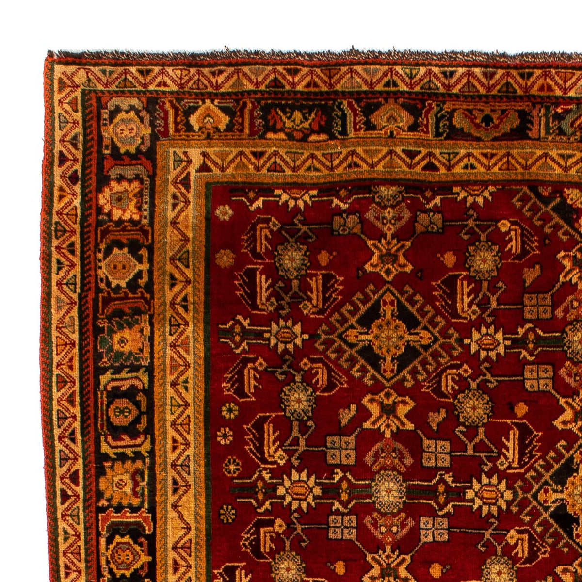 Shiraz Teppich 190x296cm - Perserteppich