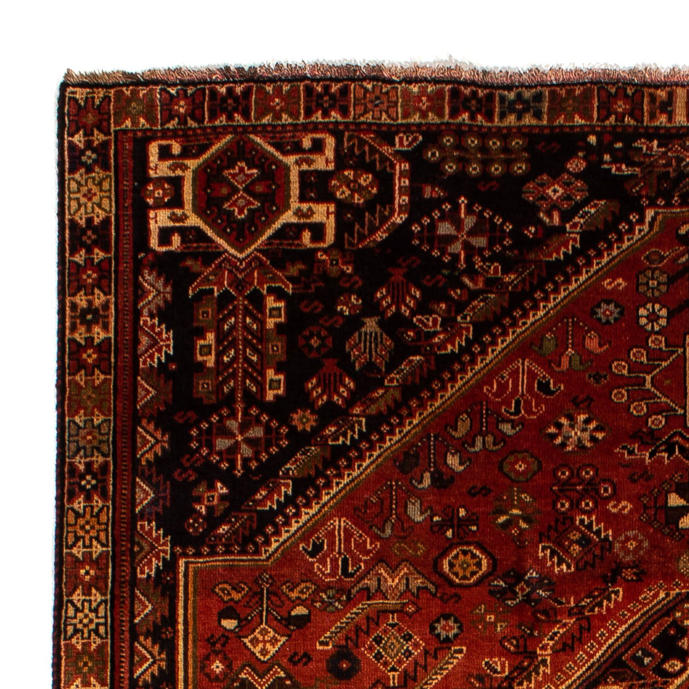 Shiraz Teppich 290x185cm - Perserteppich