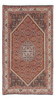 Bidjar - Zanjan Teppich 169x105cm - Perserteppich