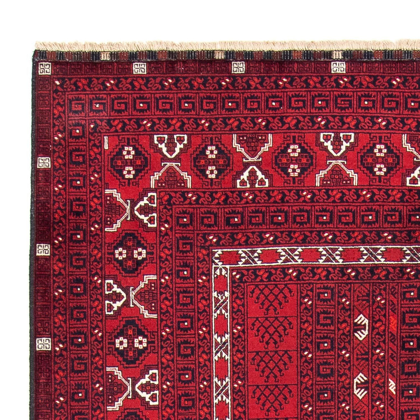 Turkaman Teppich 246x157cm - Orientteppich