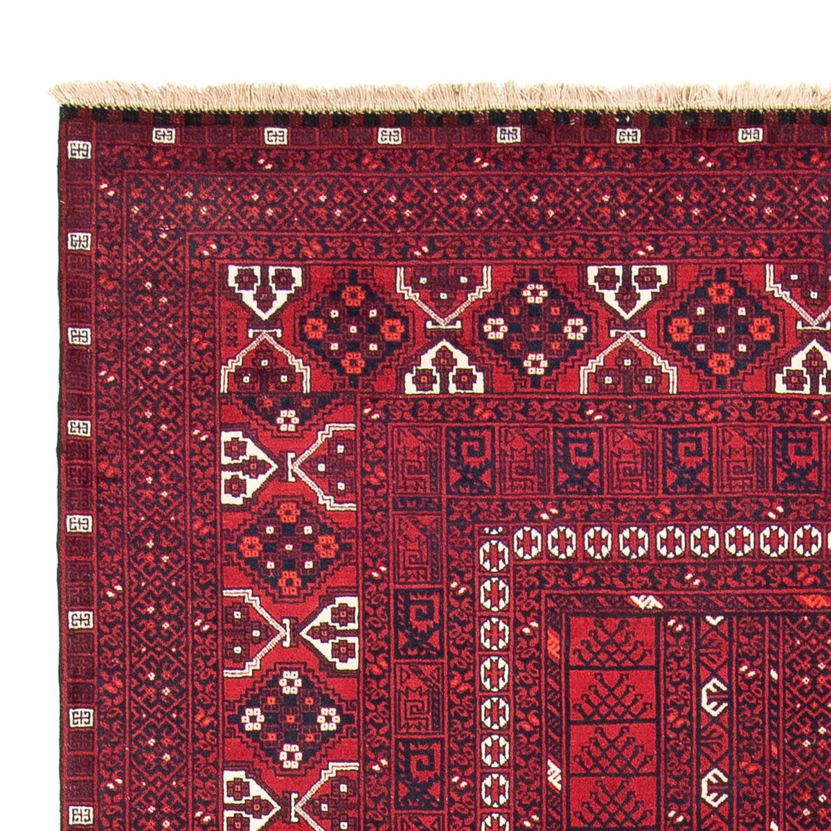 Turkaman Teppich 160x252cm - Orientteppich
