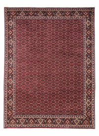 Perserteppich - Bidjar - Royal 349 x 250 cm - rot