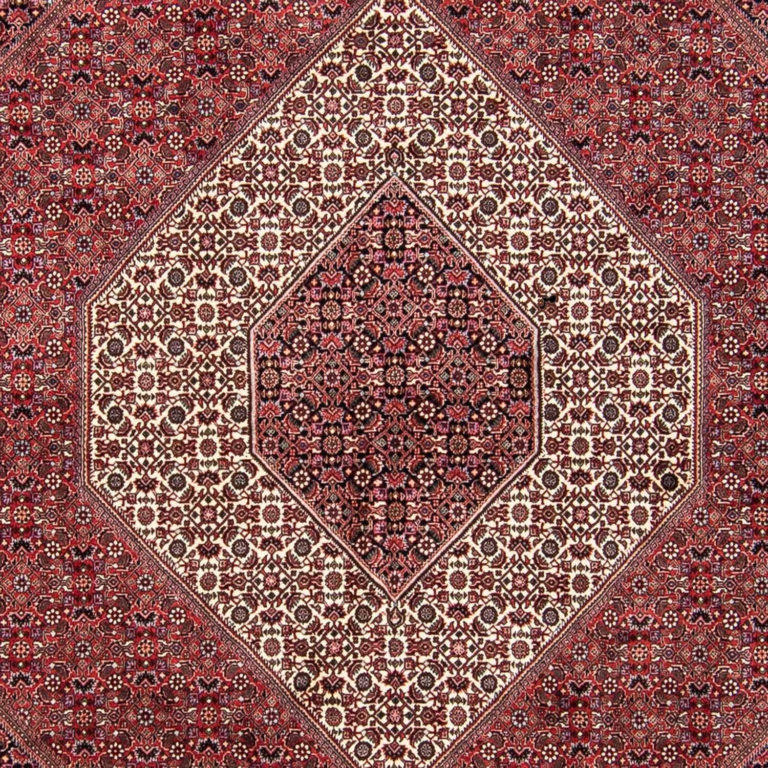 Perserteppich - Bidjar 293 x 248 cm