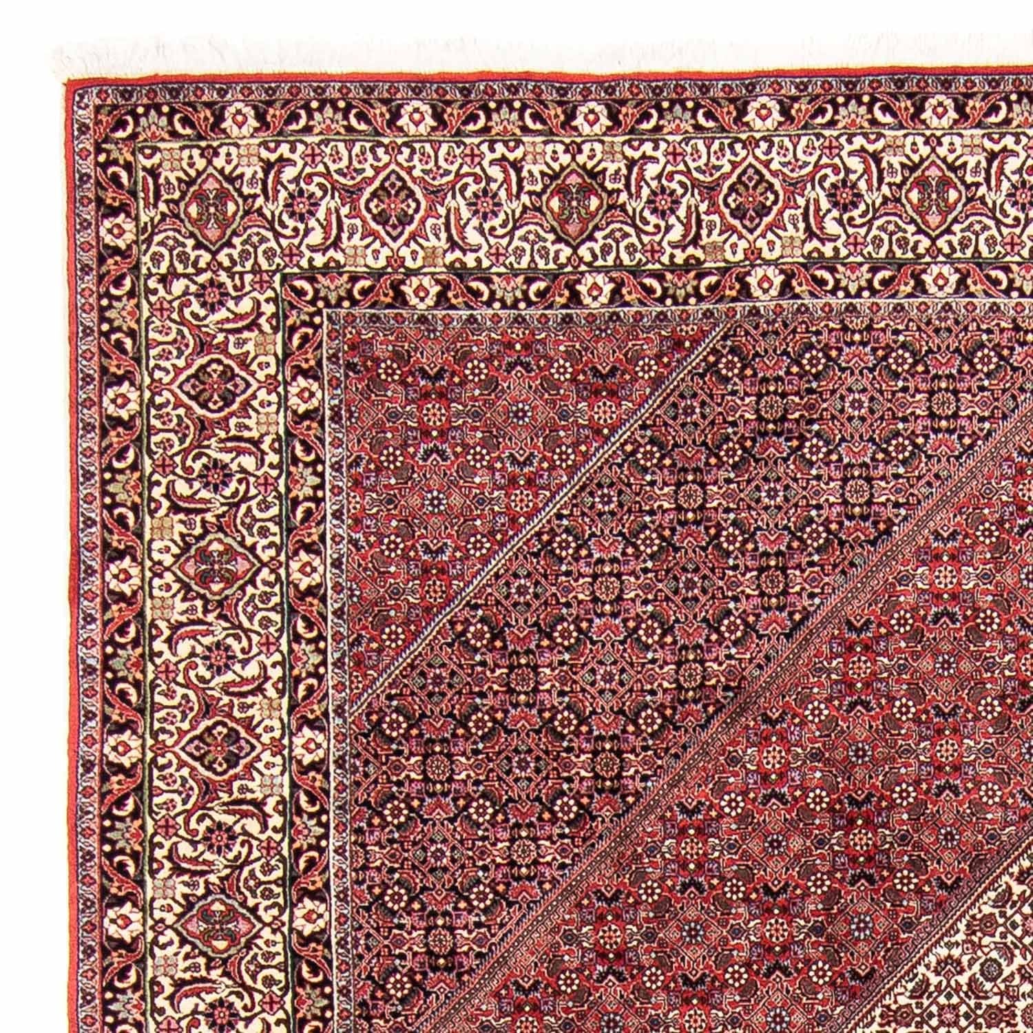 Perserteppich - Bidjar 293 x 248 cm