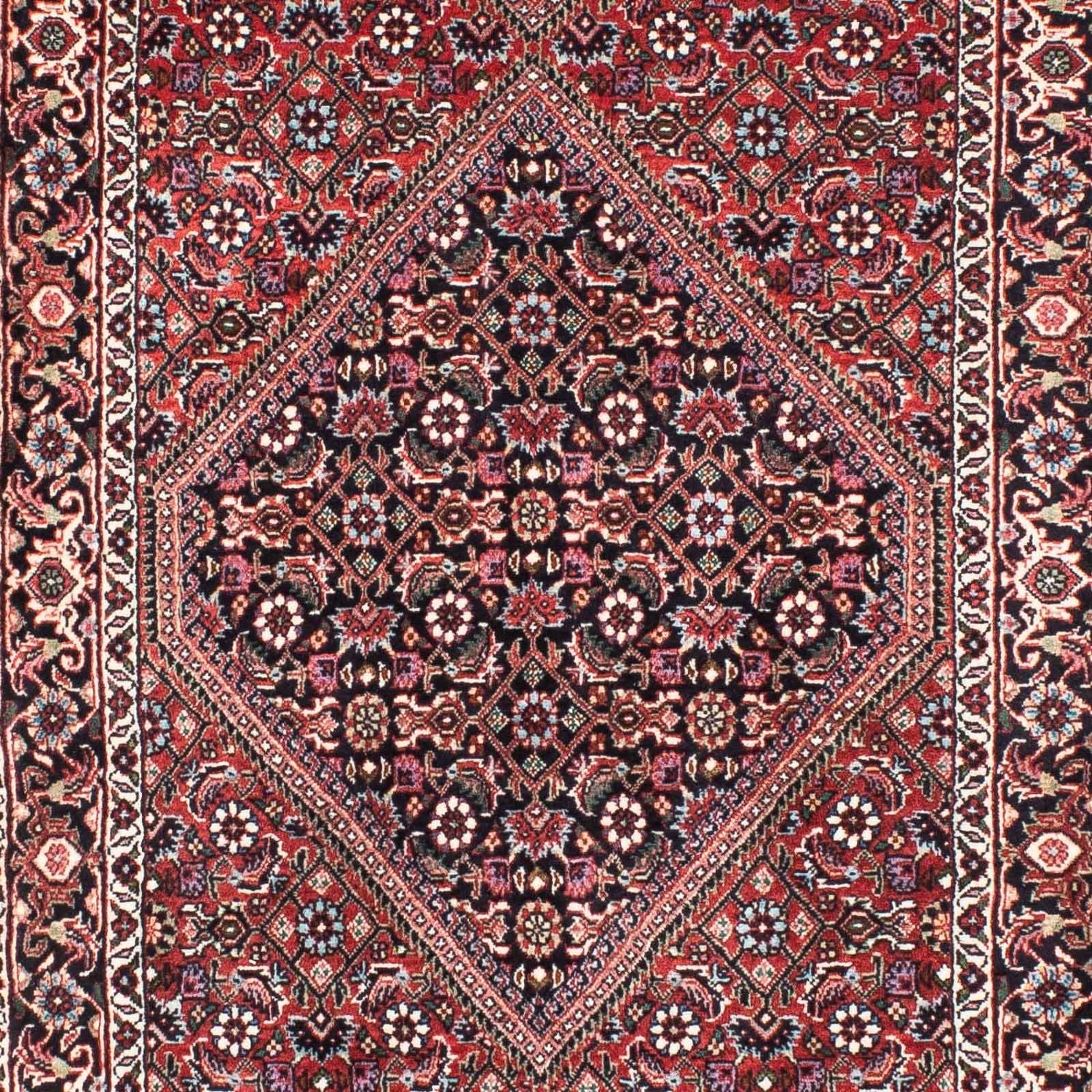 Perserteppich - Bidjar 209 x 74 cm