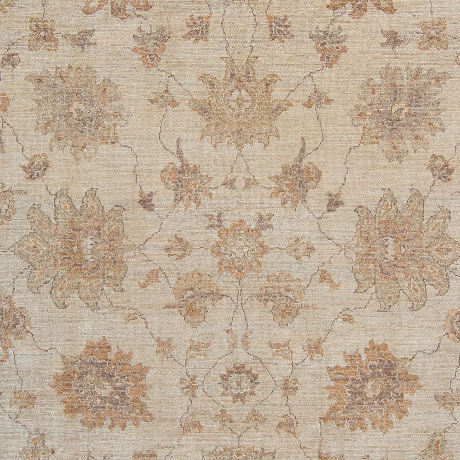Ziegler Teppich 337 x 249 cm