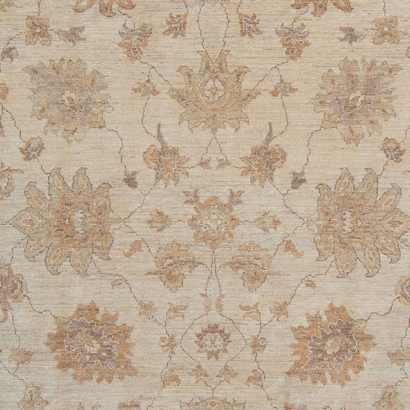 Ziegler Teppich 337 x 249 cm