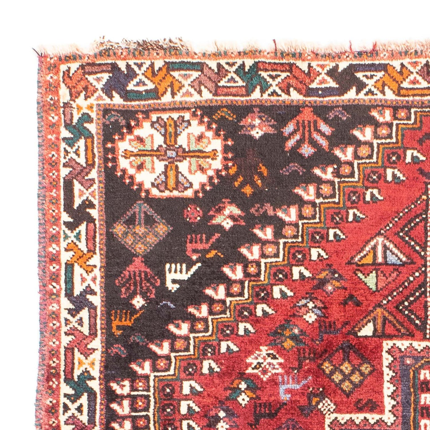Shiraz Teppich 163x112cm - Perserteppich