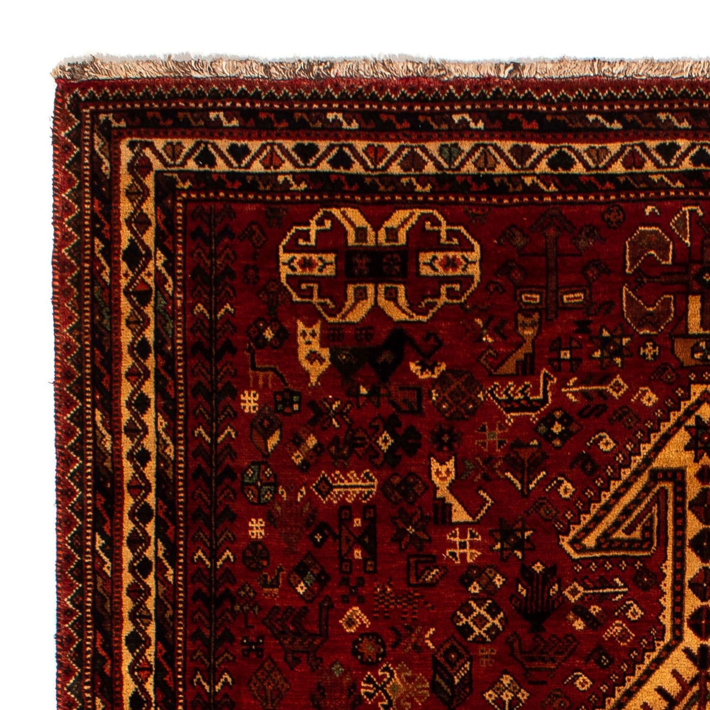Shiraz Teppich 298x178cm - Perserteppich