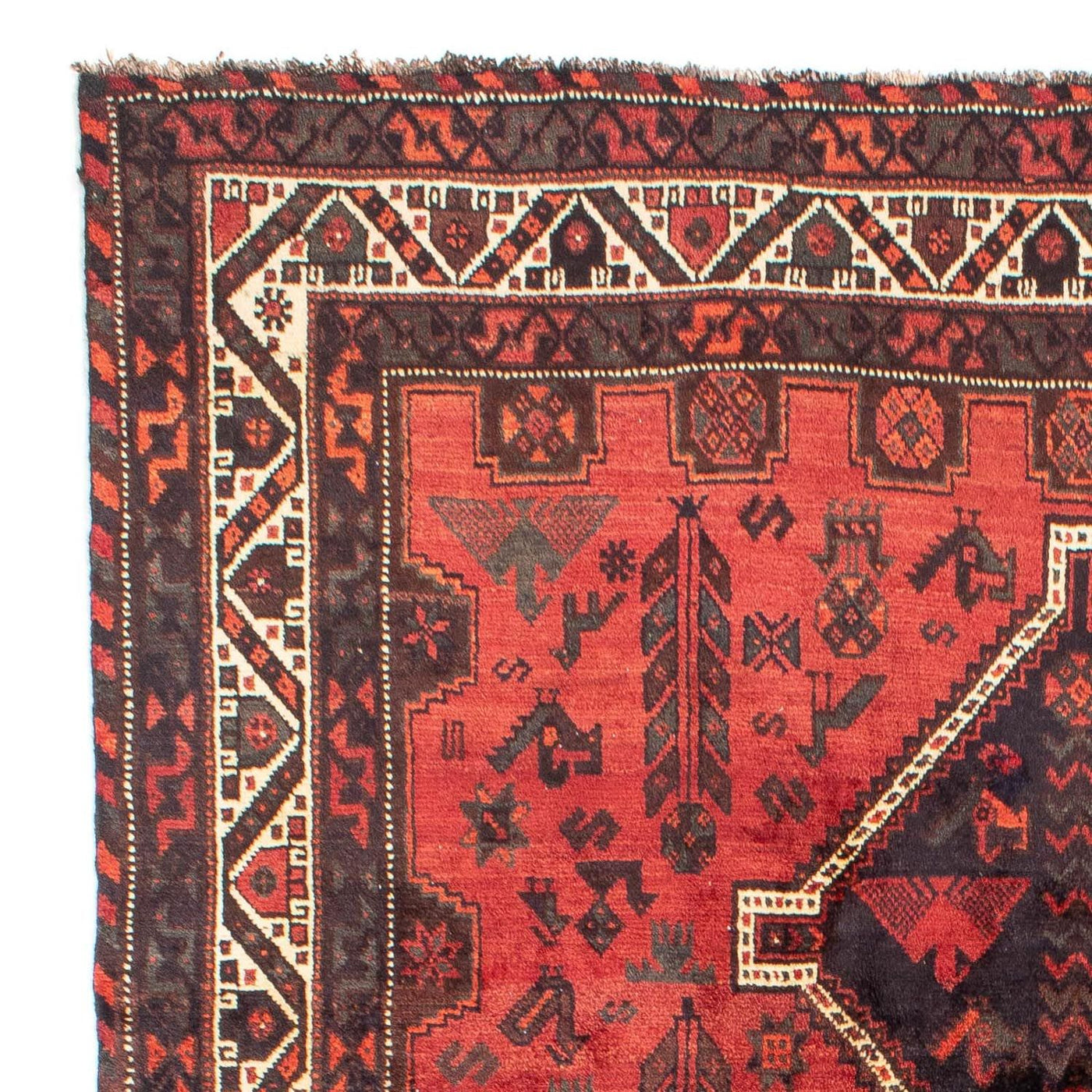 Shiraz Teppich 318x206cm - Perserteppich