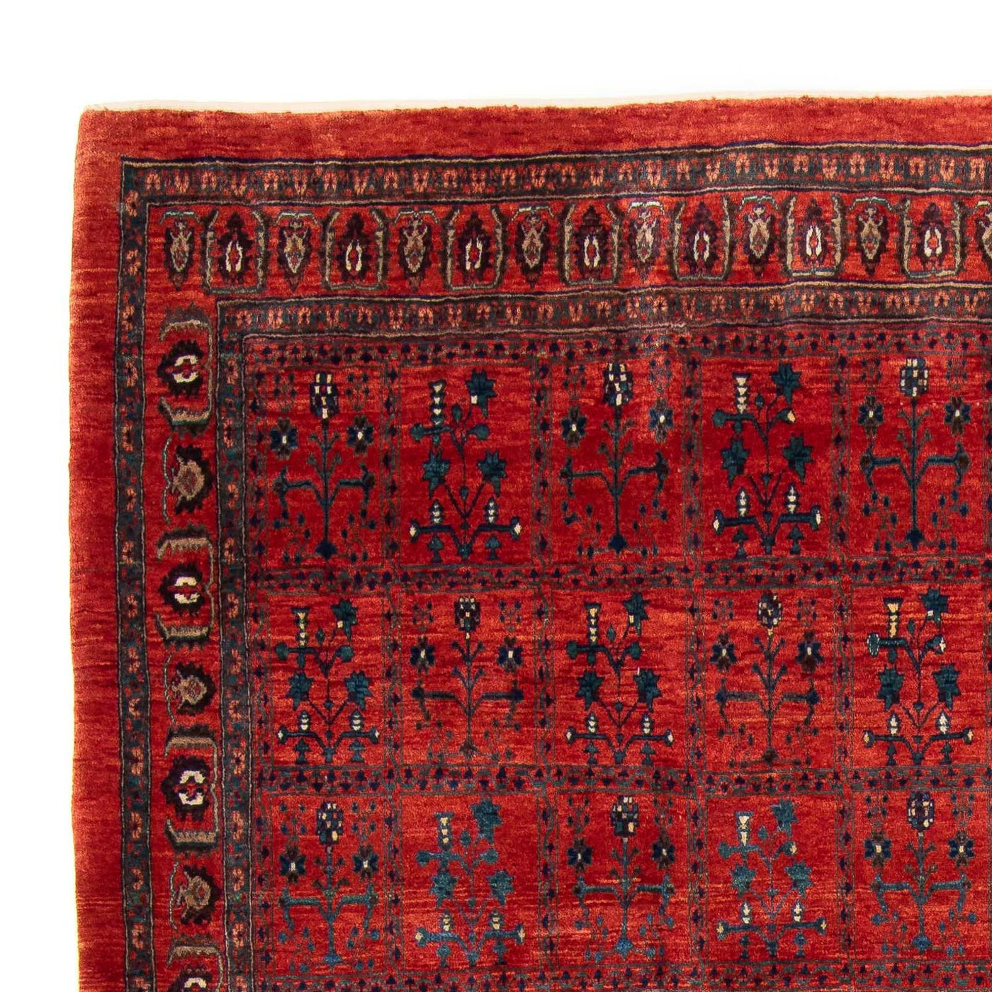 Kaschkuli Teppich 345x260cm - Perserteppich