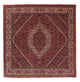 Bidjar Teppich 152x148cm - Perserteppich
