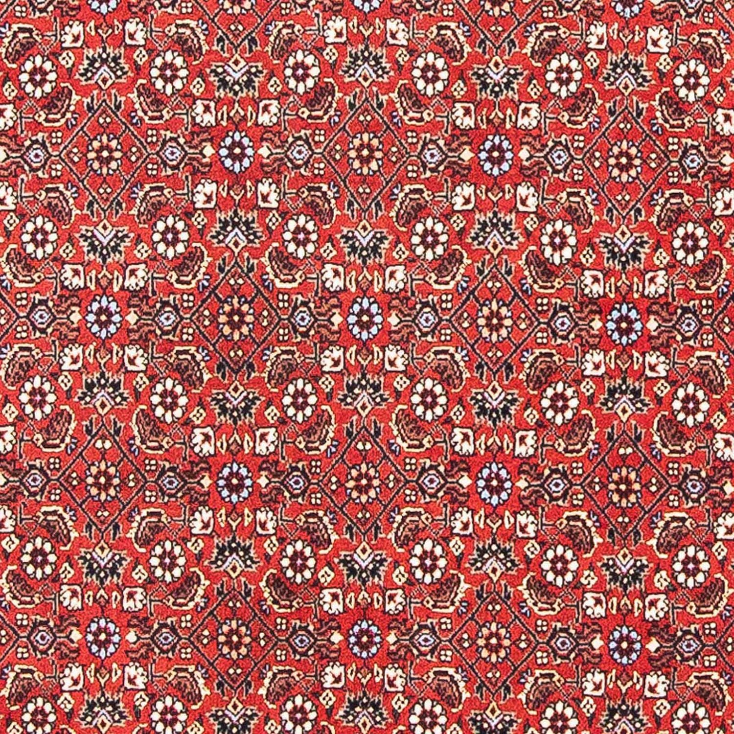 Perserteppich - Bidjar - Royal 98 x 97 cm Quadratischer Teppich